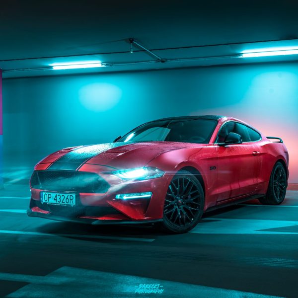 mustang-scaled.jpg